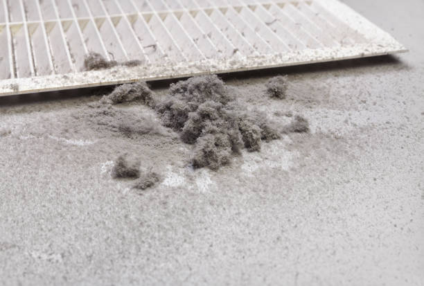 Best Emergency Air Duct Cleaning  in Melody Hill, IN