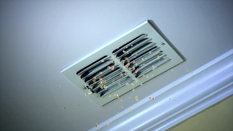Best Emergency Air Duct Cleaning  in Melody Hill, IN