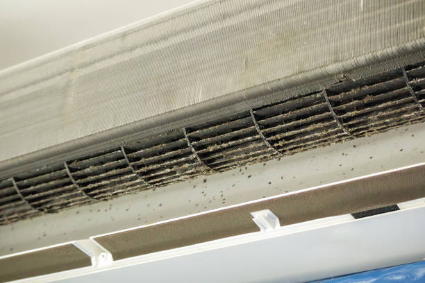 Best HVAC System Cleaning  in Melody Hill, IN